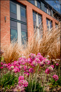 Bay Campus landscaping 2