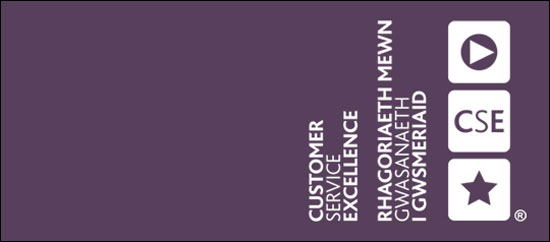 CSE Standard logo