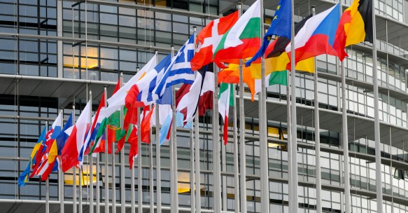 European parliament