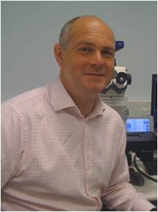 Gareth Jenkins