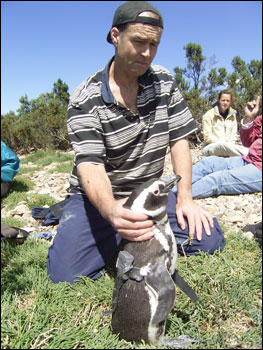 Professor Rory Wilson2
