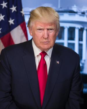 300 x 375