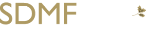 300 x 87
