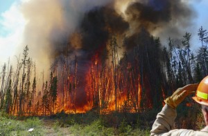 Wildfire Aug 2